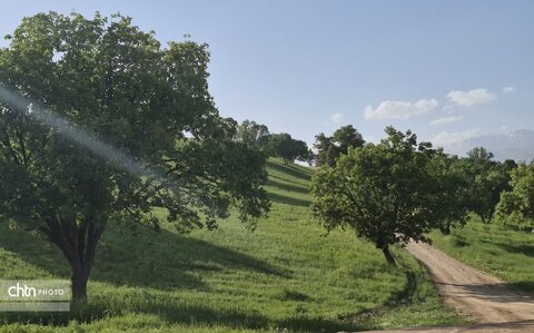 گوزلک روستای طبیعت گردی