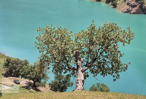 گوزلک روستای طبیعت گردی