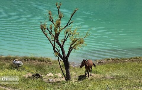 گوزلک روستای طبیعت گردی
