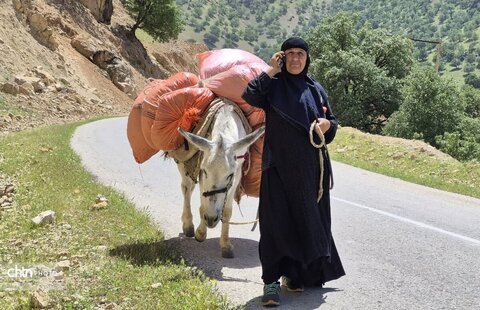 گوزلک روستای طبیعت گردی