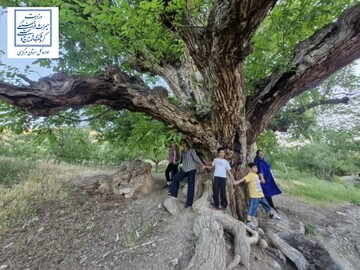 تفرش؛ کلاس زنده میراث و طبیعت برای کودکان ایران/ اجرای تور تخصصی گردشگری کودک با حضور ۲۵ گردشگر در استان مرکزی