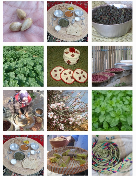 طبیعت، منبع دانش بومی در روستای پامنار است