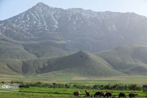 طبیعت روستای سورانه