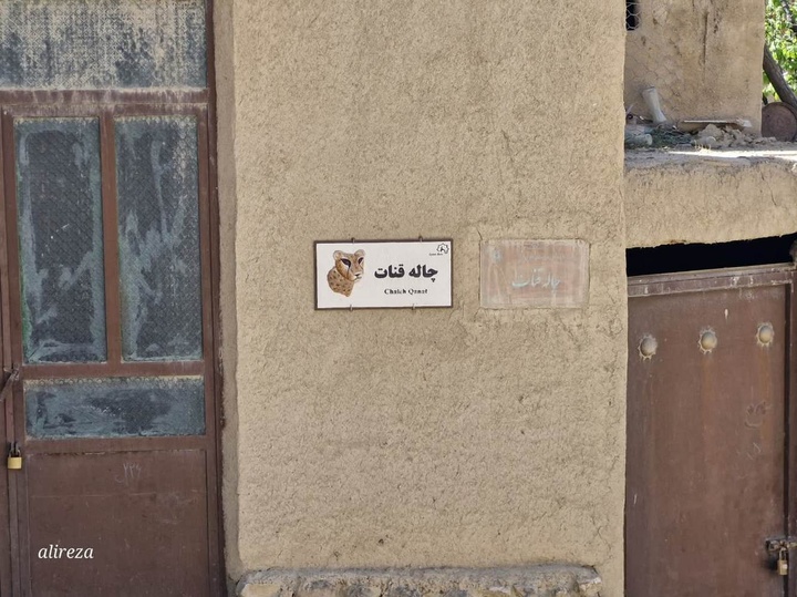 قلعه ب