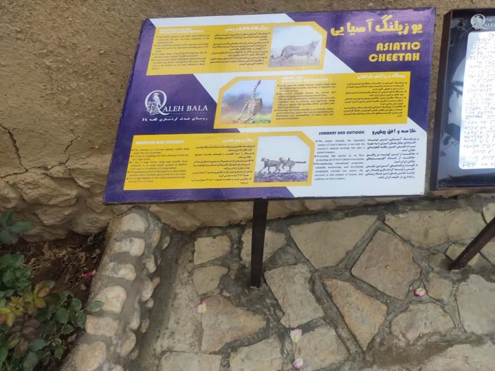 قلعه ب