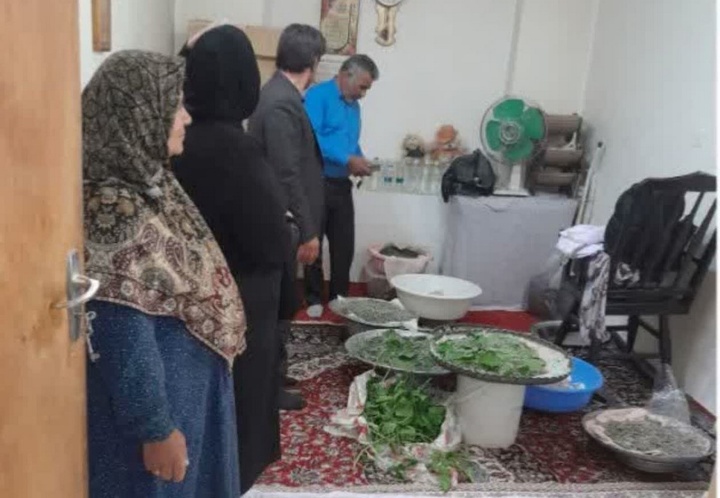 نوغان
