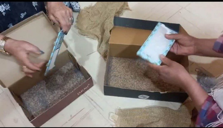 نوغان