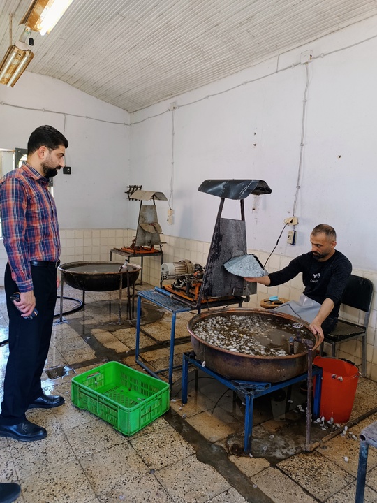 راهنمایان گردشگری؛ پیشگامان احیای صنعت کهن ابریشم گیلان
