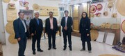 تحکیم بنیان‌های پشتیبانی و ارتقای بهره‌وری سازمانی
