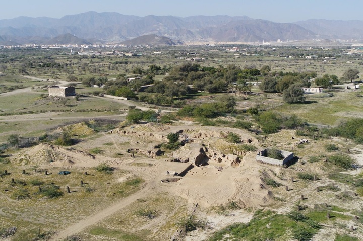 کشف ۱۷۰۰ نقش صخره‌ای ناشناخته در عمان/ پنجره‌ای تازه به سوی تاریخ 