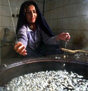 جشنواره  ابریشم در تربت حیدریه پایتخت ابریشم کشور برگزار می‌شود