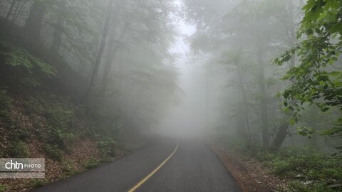 مه و سر سبزی در جاده‌ای که دل می‌برد؛ درازنو، نگین گلستان