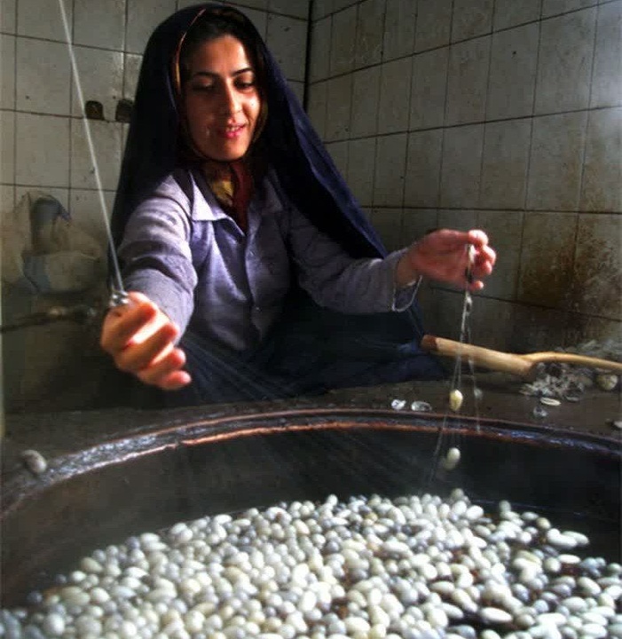 جشنواره  ابریشم در تربت حیدریه پایتخت ابریشم کشور برگزار می‌شود