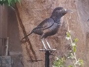 پیوند هنر، محیط‌زیست و گردشگری در قلعه بالا/ مجسمه‌های زاغ بور و یوز از دل بازیافت جان می‌گیرند