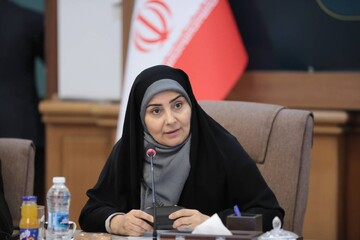 همکاری برای ثبت جهانی بافت تاریخی ربع رشیدی/ لزوم بهره‌گیری از مدل موفق مشارکت مردمی در پیشبرد پروژه‌های بازآفرینی شهری