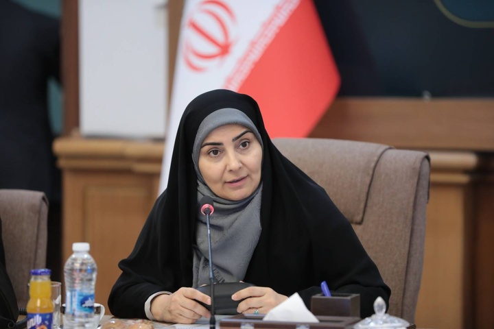 همکاری برای ثبت جهانی بافت تاریخی ربع رشیدی/ لزوم بهره‌گیری از مدل موفق مشارکت مردمی در پیشبرد پروژه‌های بازآفرینی شهری