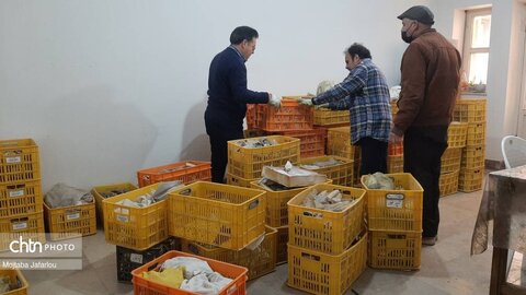 فعالیت کارگاههای مرمتی پایگاه میراث جهانی گنبدسلطانیه