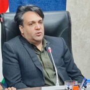 از کسب ۱۵ نشان ملی تا درخشش در بازارهای جهانی