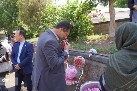 جشنواره گلاب‌گیری خوی