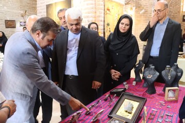 نمایشگاه سهم من از ایران  در تربت حیدریه افتتاح شد