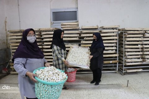 سفر دوره ای مدیرکل میراث‌فرهنگی، گردشگری و صنایع‌دستی خراسان رضوی، به همراه معاونان اداره‌کل و جمعی از فعالان حوزه گردشگری،از شهرستانهای تربت حیدریه مه ولات و بجستان