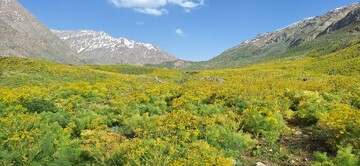 کوه‌گل و چشمه‌میشی؛ شاهکارهای بی‌بدیل در پایتخت برف، آفتاب و آرامش ایران + فیلم