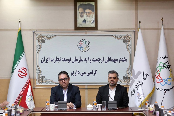 پژمان: صنایع فرهنگی یک دارایی راهبردی ملی است