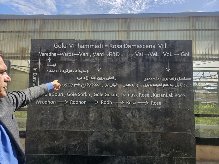 موزه گل محمدی