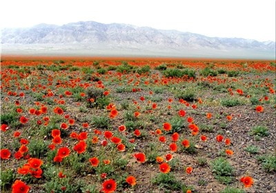 پیشنهاد ایجاد مجموعه بزرگ گردشگری و بوم‌گردی در اخترآباد ملارد