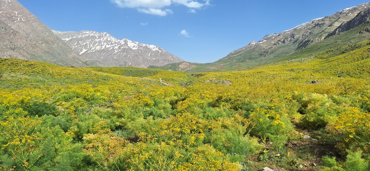 دریاچه کوه گل