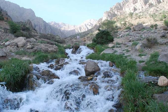 کوه گل و چشمه میشی