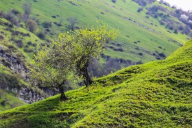 شهرستان گرمی؛نگین سبز اردبیل