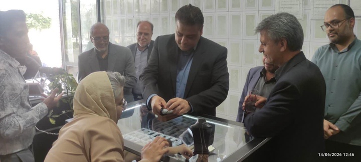 افتتاح کارگاه تراش سنگ‌های قیمتی و نیمه قیمتی در فردوس همزمان با هفته صنایع‌دستی