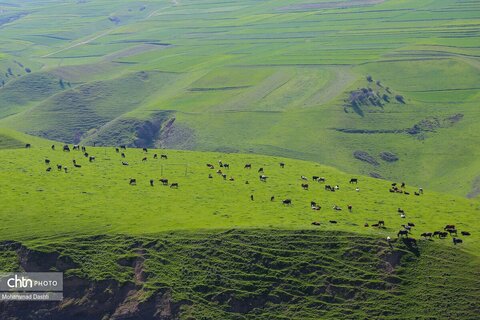 شهرستان گرمی؛نگین سبز اردبیل