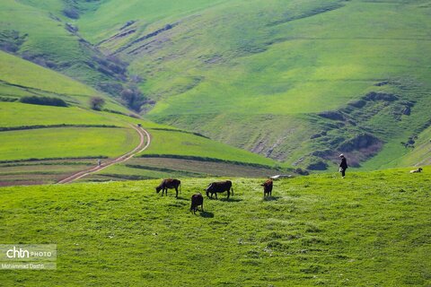 شهرستان گرمی؛نگین سبز اردبیل