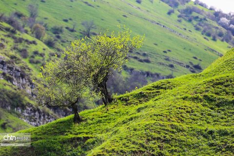 شهرستان گرمی؛نگین سبز اردبیل