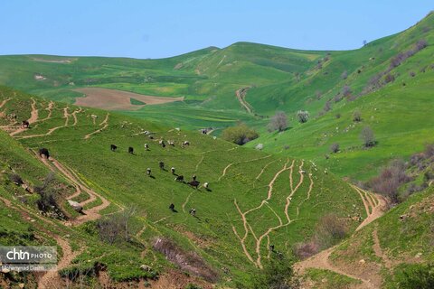شهرستان گرمی؛نگین سبز اردبیل
