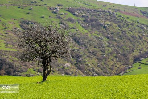 شهرستان گرمی؛نگین سبز اردبیل