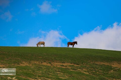 شهرستان گرمی؛نگین سبز اردبیل