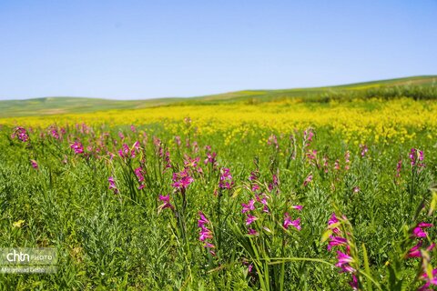 شهرستان گرمی؛نگین سبز اردبیل