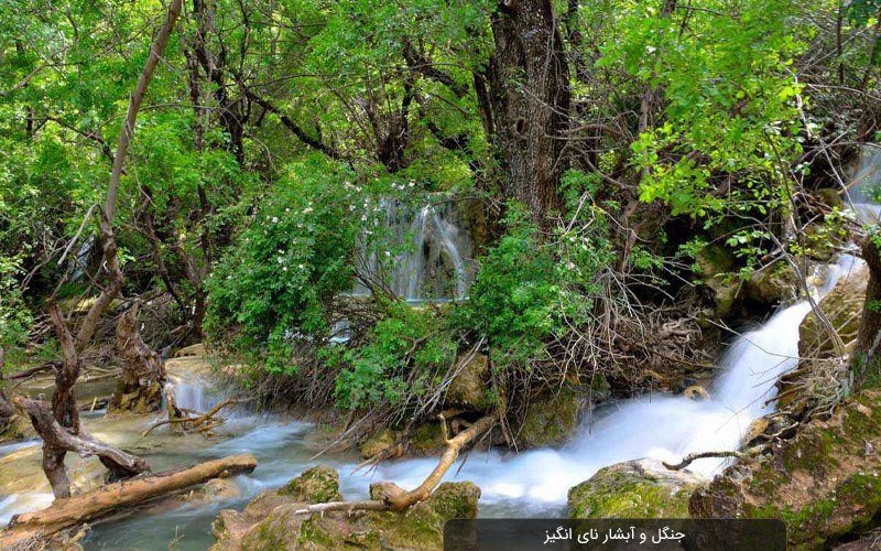 سفر به سرزمین آبشارها، قلعه‌های تاریخی و طبیعت بکر زاگرس