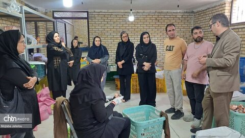بازدید واحدها و کارگاه‌های تخصصی مسگری و چاقوسازی توسط معاون و کارکنان صنایع دستی استان زنجان