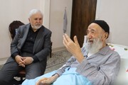 قائم مقام وزیر میراث فرهنگی با حجت الاسلام و المسلمین راشد یزدی دیدار کرد