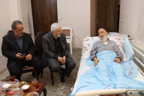 قائم مقام وزیر میراث فرهنگی با حجت الاسلام و المسلمین راشد یزدی دیدار کرد