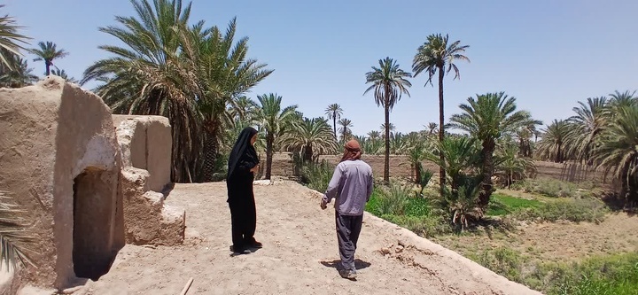 عملیات مرمت اضطراری باغ تاریخی حمص در بافق آغاز شد