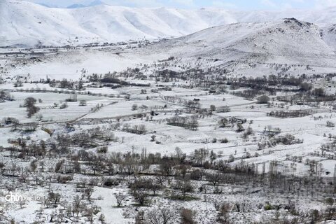 شازند شهر چشمه‌های طبیعی