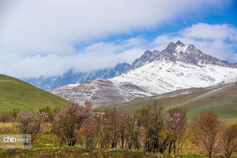 شازند شهر چشمه‌های طبیعی