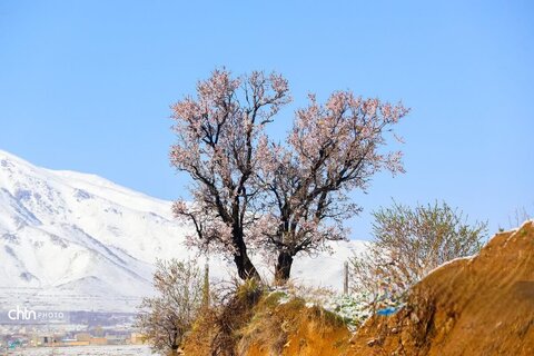 شازند شهر چشمه‌های طبیعی
