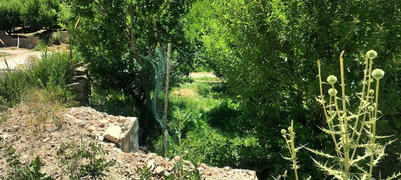 کوخدان؛ فرصت گردشگری که نیازمند همکاری دستگاهی است