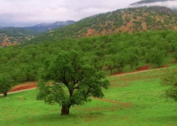 کوخدان؛ فرصت گردشگری که نیازمند همکاری دستگاهی است